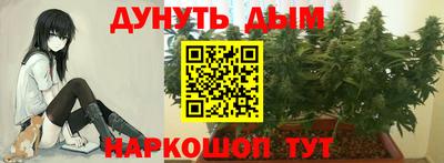 прущие крисы Кунгур