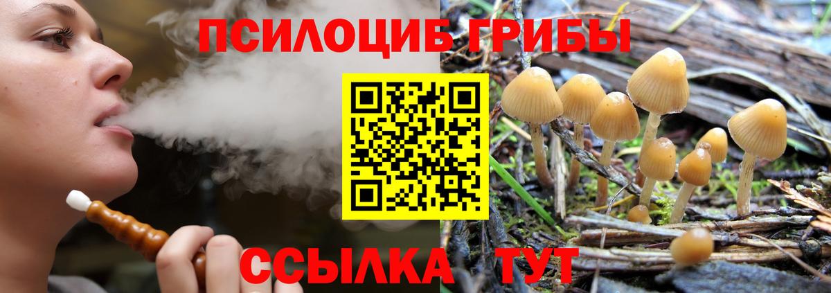 Арсеньев  Псилоцибиновые грибы Magic Shrooms  Галлюциногенные грибы Magic Shrooms  Вход с VPN 